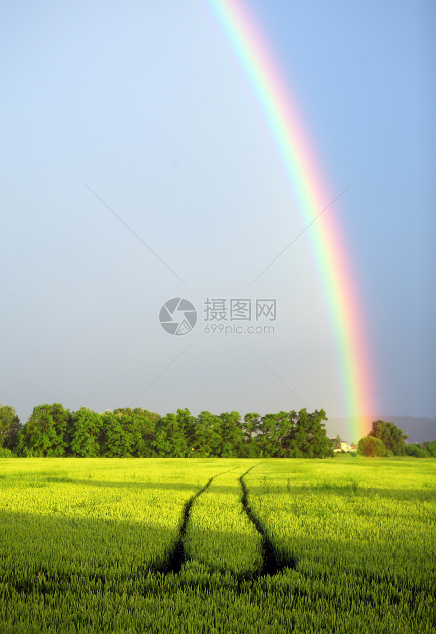 彩虹的风景晴天奶制品季节收成天空地平线稻草风暴蓝色农田图片