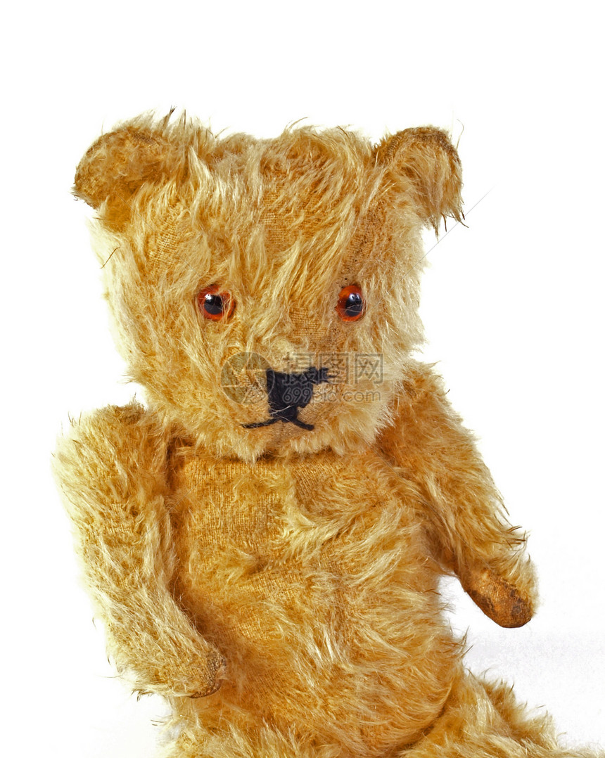 泰迪熊朋友毛皮快乐拥抱玩具熊展示乐趣眼睛童年玩具图片
