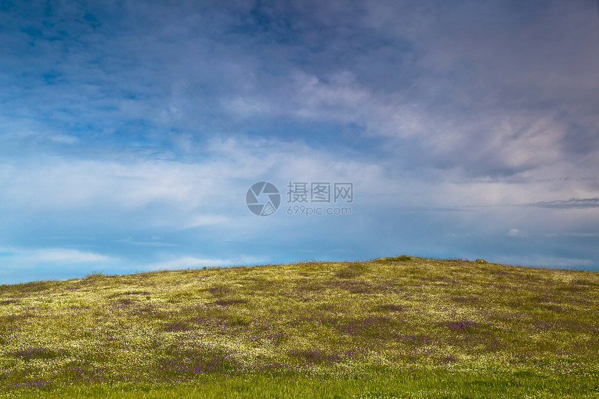 绿草地农村太阳环境天气国家阳光假期蓝色季节场景图片