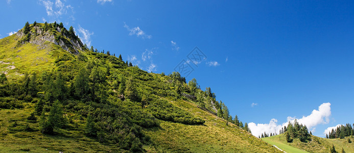 在阿尔卑斯山的明夏日高清图片