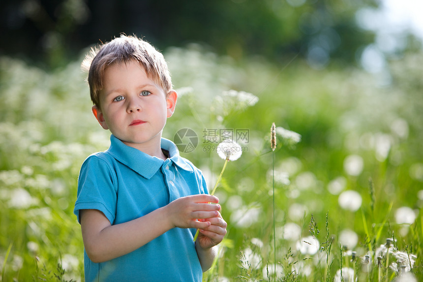 带丹德利翁的男孩季节场地绿色男生晴天童年帽子公园草地孩子图片