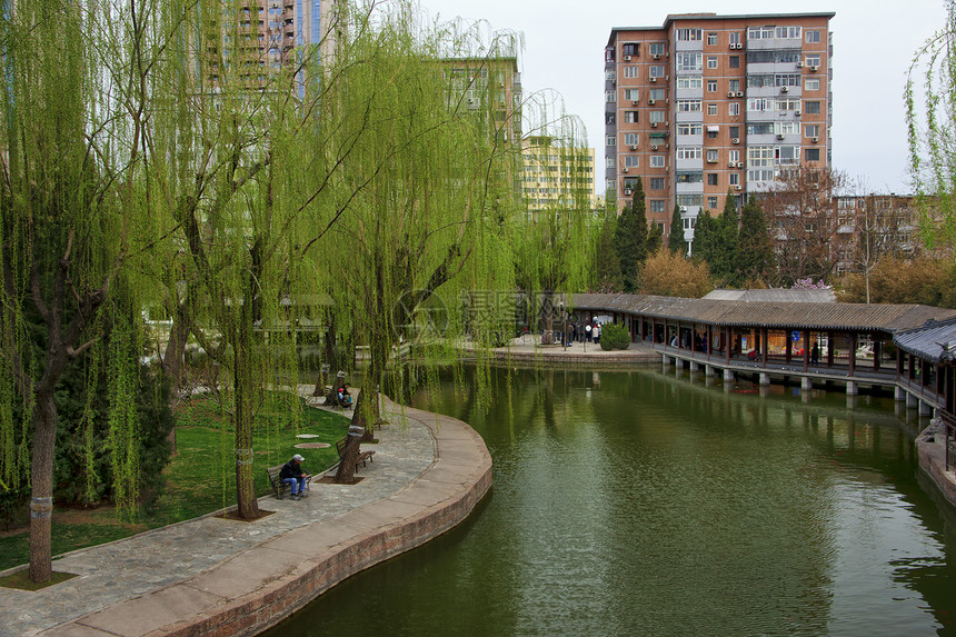 北京街坊公园和池塘图片