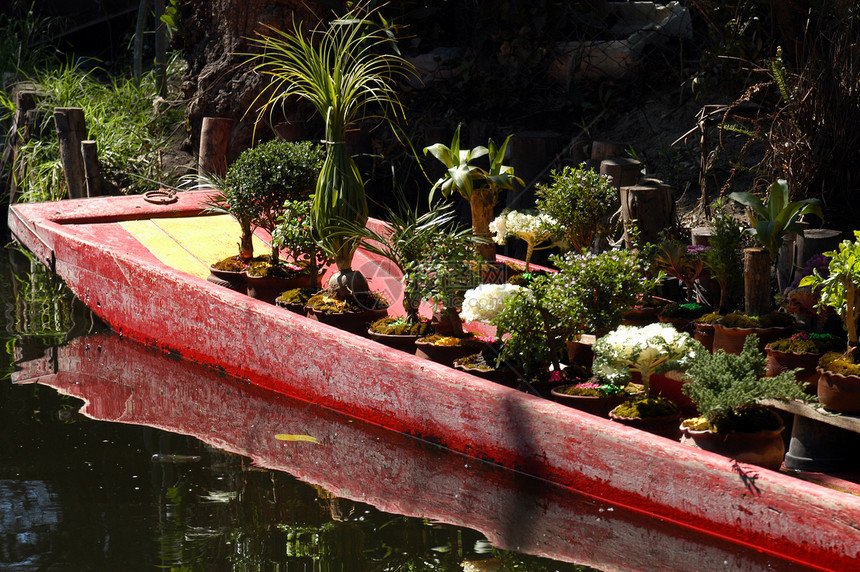 墨西哥城Xochimilco号船游客血管拉丁旅行内河运河码头航海城市蔬菜图片