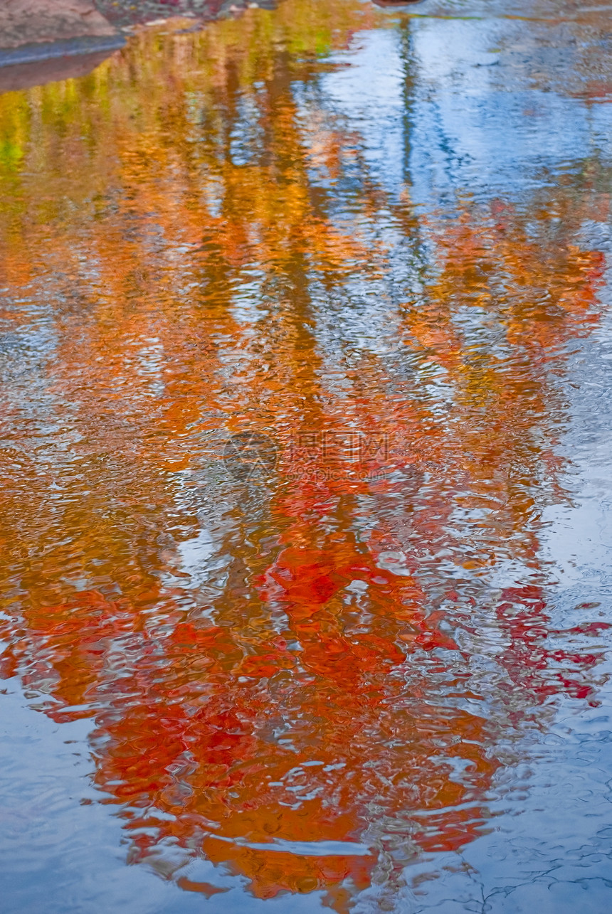 秋季反省溪流红色橙子图片