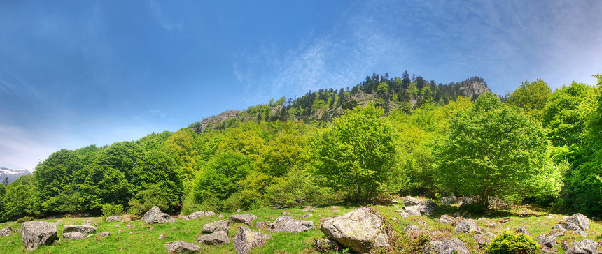山区全山地貌景观山脉植物学蓝色松树分支机构全景森林农村树叶针叶图片