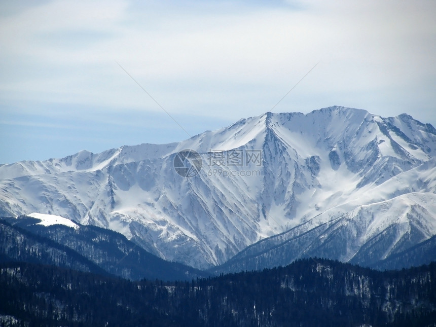 高山山脉雪峰植物群白色全景天空风景解脱植被旅行木头图片