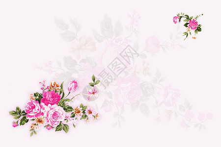 粉花花叶子粉色女性化绿色玫瑰香菜植物学插图墙纸背景图片
