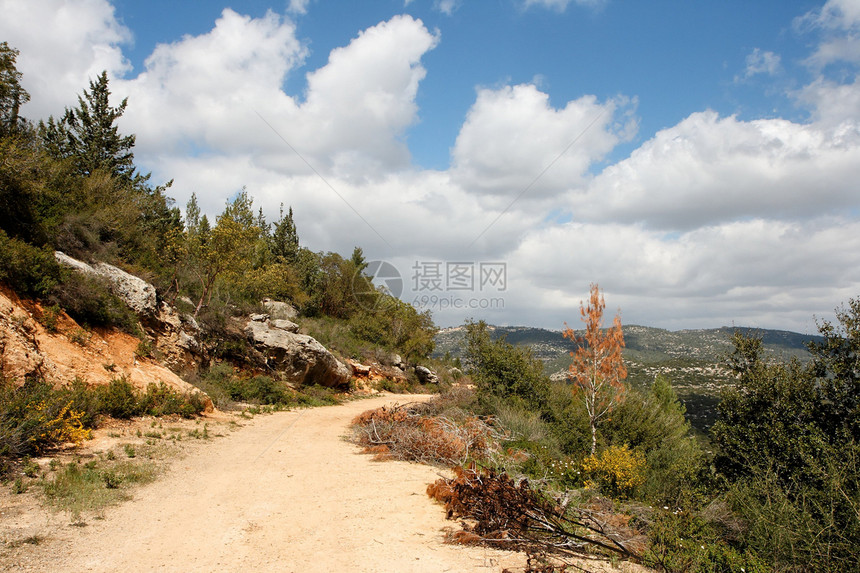 耶路撒冷周围林木山间景象路径曲线图片