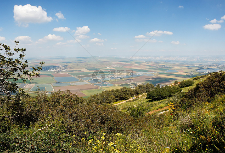 以色列加利利Gilboa山大片田地分布的全景图片