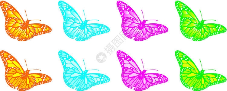 矢量蝴蝶昆虫生活翅膀剪贴幸福飞行快乐插图背景图片