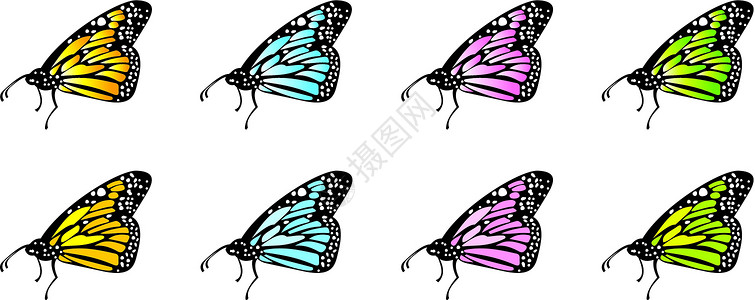 矢量蝴蝶翅膀生活插图剪贴飞行昆虫幸福快乐背景图片