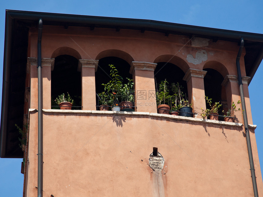 Verona的旧窗口图片