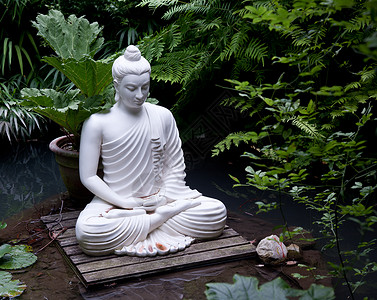 莲花雕塑池塘中的佛像背景