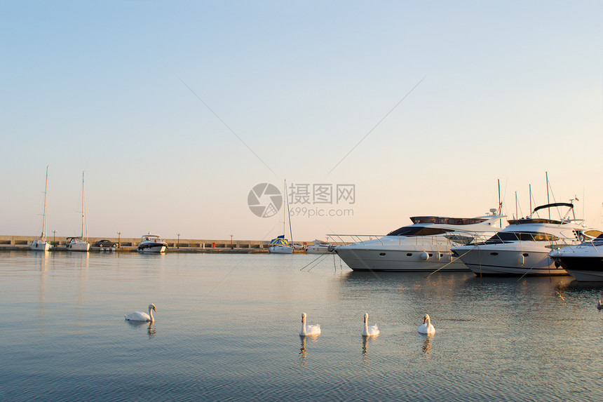 天鹅和游艇在无声海湾池塘财富假期蓝色隐私血管行动快艇天空码头图片