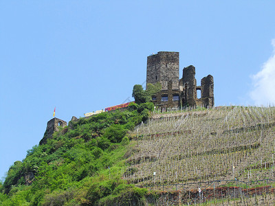 张裕瑞那城堡酒庄摩泽尔河畔贝尔施泰因的背景