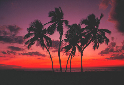 天空着火夕阳海滩日落背景图片