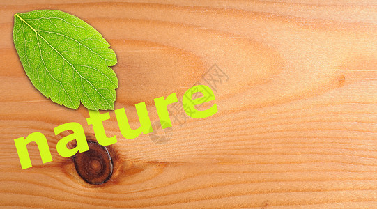 自然植物标签环境生物木头生态叶子背景图片