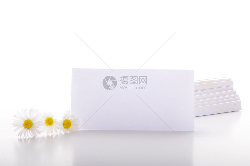 纸张温泉绿色笔记纸生态笔记卡片环境问候语叶子雏菊图片