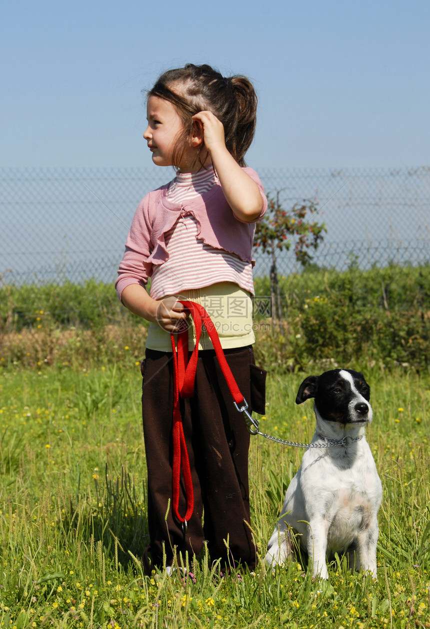 女童和狗宠物女孩动物白色友谊天空蓝色衣领猎狗花园图片