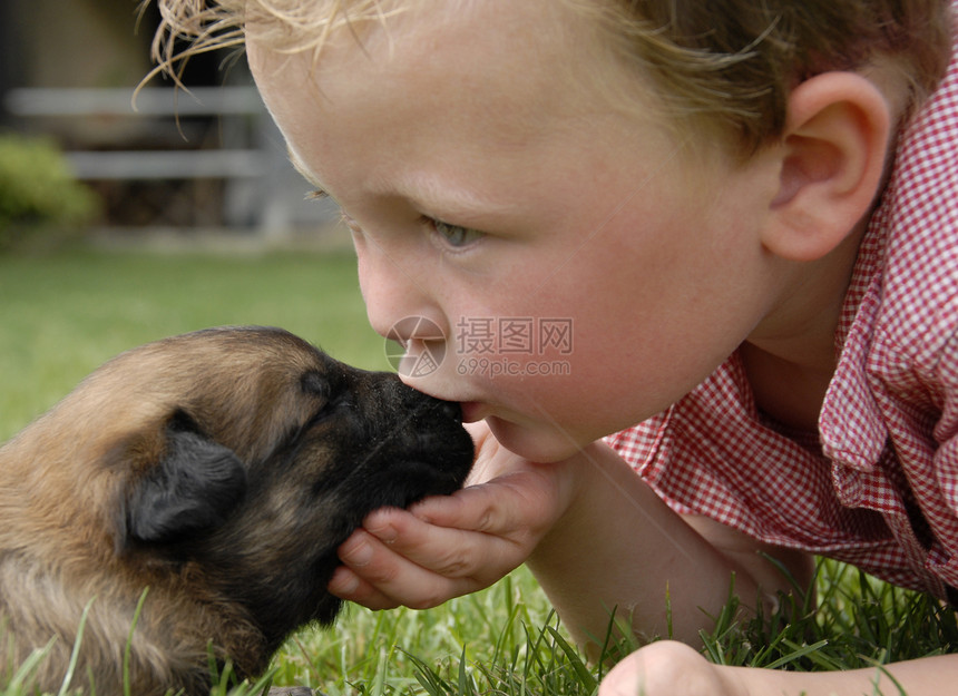 亲吻婴儿男生伴侣小狗动物宠物友谊牧羊犬朋友金发图片