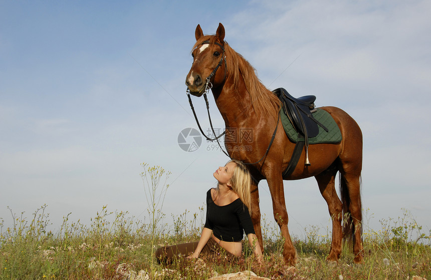 田野中的少年和马棕色动物马鞍天空友谊宠物草地女孩头发骑马图片