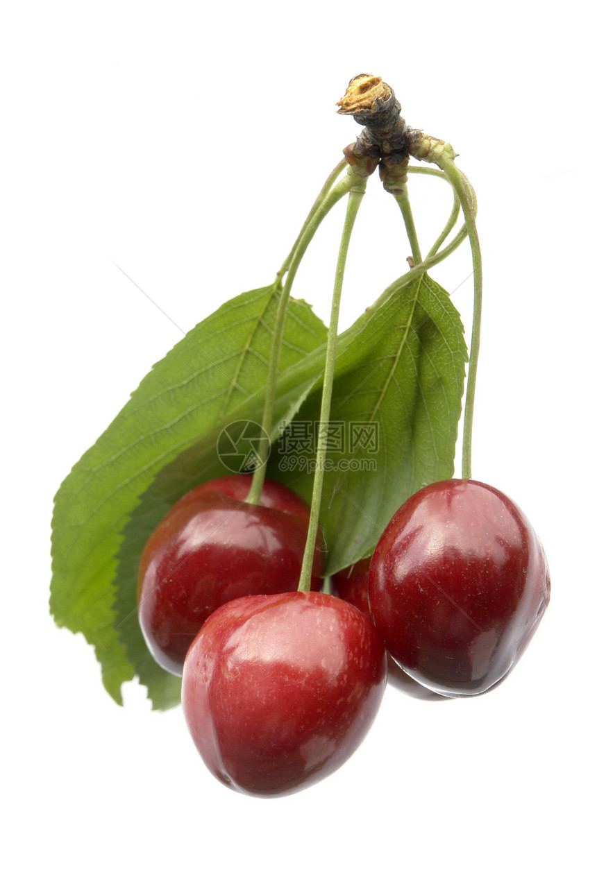 樱桃紫色美食水果甜点味道绿色红色食物饮食叶子图片