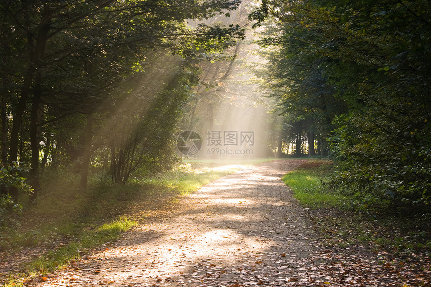 路上的阳光光照耀图片