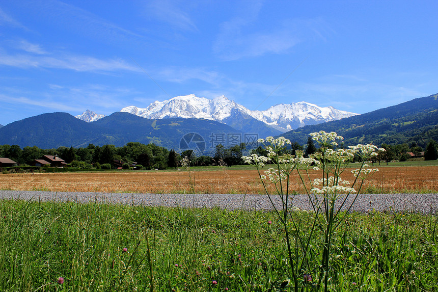 法国Mont-Blanc质量观图片