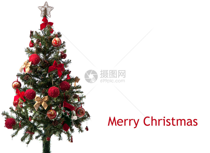 圣诞树松树白色红色明信片金子绿色星星图片