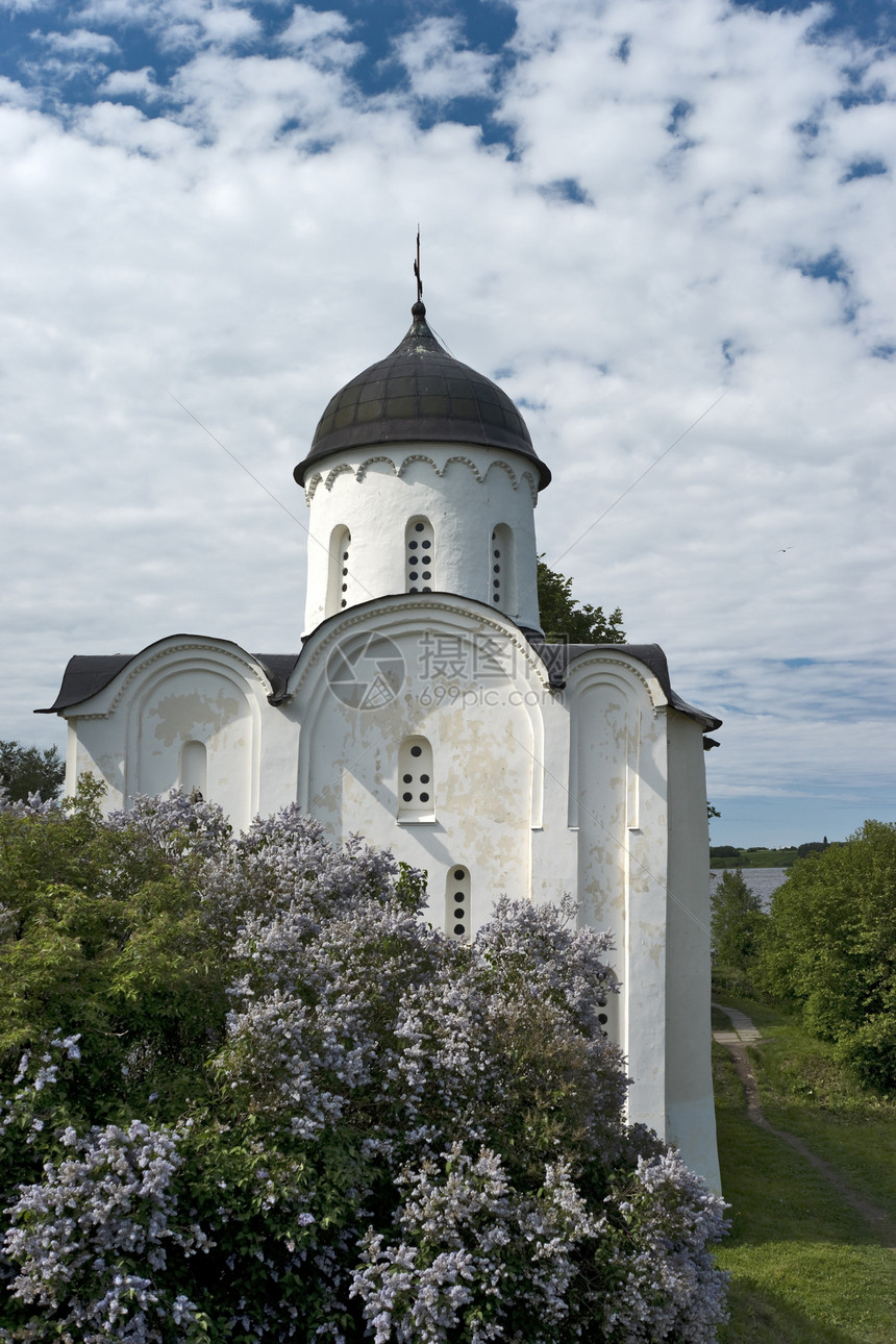 白石俄罗斯教堂和Lilac图片