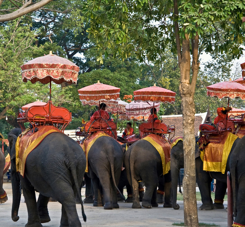 大象阴影佛陀旅行建筑观念地标信仰石头宗教世界图片