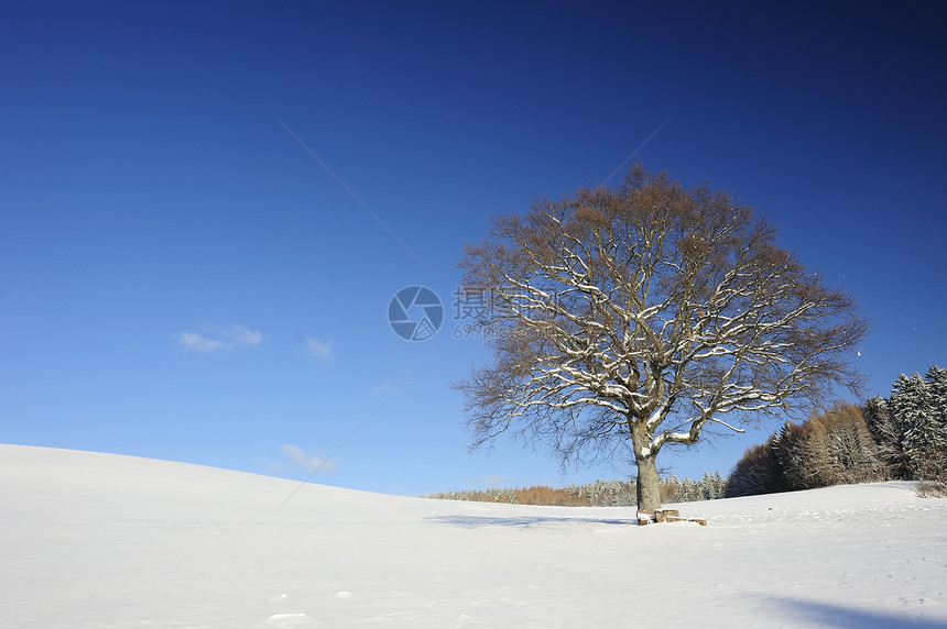 冬季现场水平荒野乡村雪原蓝色孤独农村寒冷天空图片