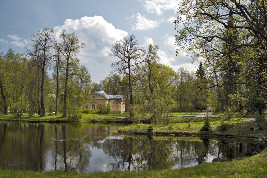 公园中的池塘建筑学鸭子阳光树木露天风景绿色晴天植物群蓝色图片