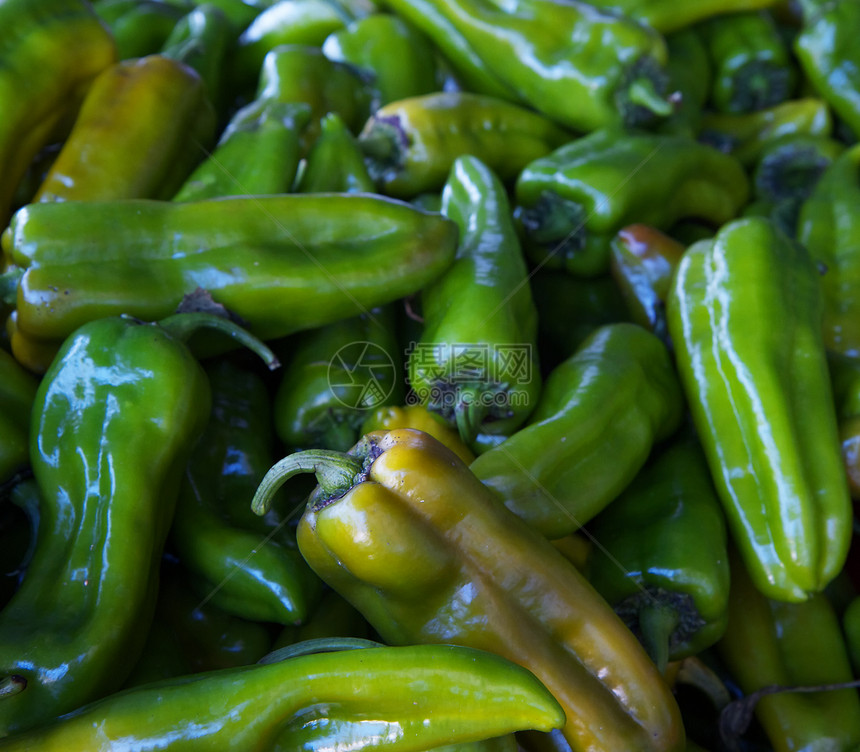 Jalapeeno 大号图片