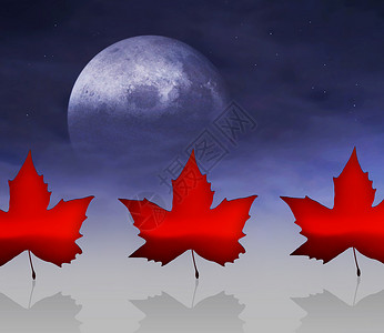 枫叶月亮素材加拿大星星绿色植物树叶蓝色反射叶子土地月亮国家太阳背景
