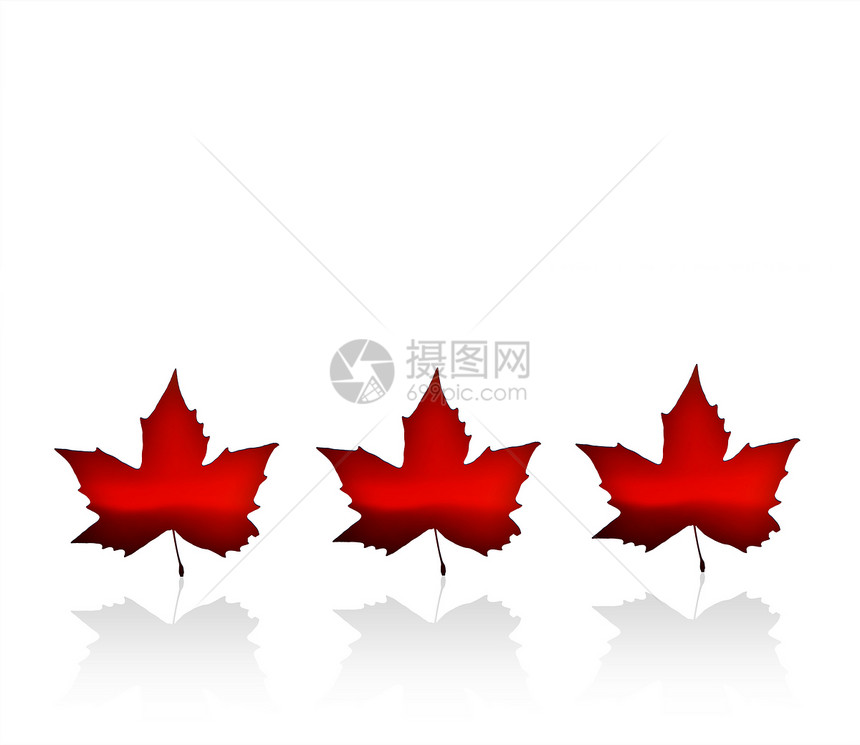 加拿大国家绿色植物育空叶子树叶地区黑色反射旗帜土地图片