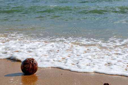 椰子在海滩上风景场景盐水海水可可淋浴旅行泡沫背景图片