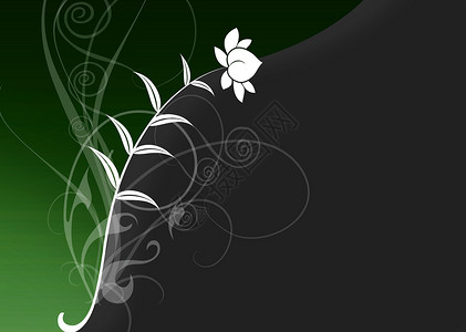 流血花优雅装饰品螺旋绘画绿色植物插图花丝叶子生日季节背景