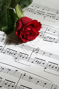 玫瑰邀请函亲爱的笔记作家宽慰音符线条情人玫瑰情歌红色背景