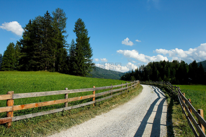 位于草原和森林之间的美丽的高山乡村道路图片