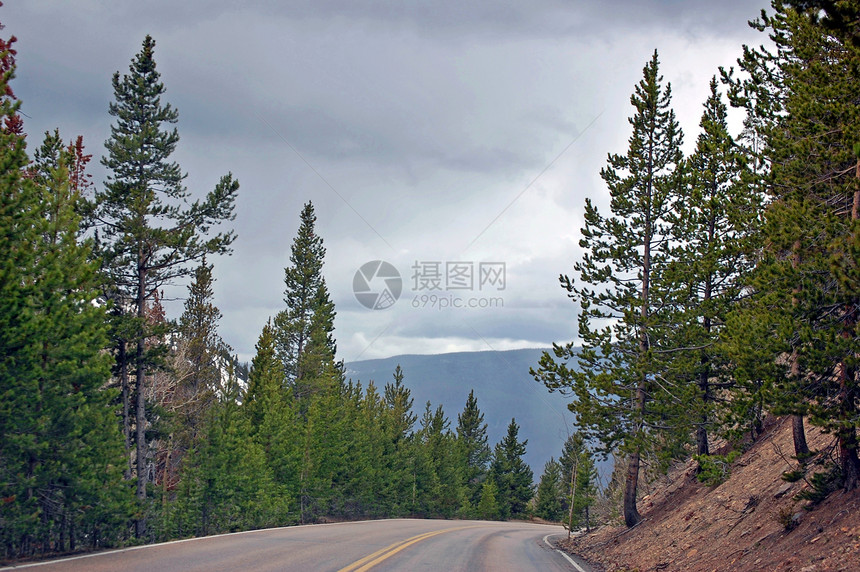 科罗拉多山脉叶子薄雾山脉天空树木树叶丘陵图片