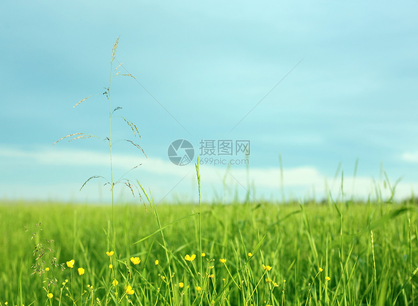 表面有一片草地的风景图片