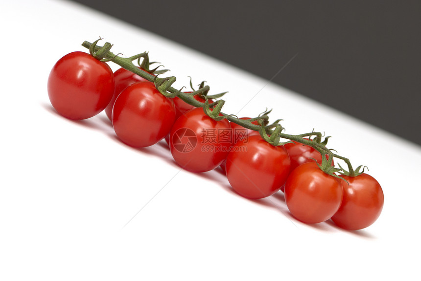 番茄分枝对角图片