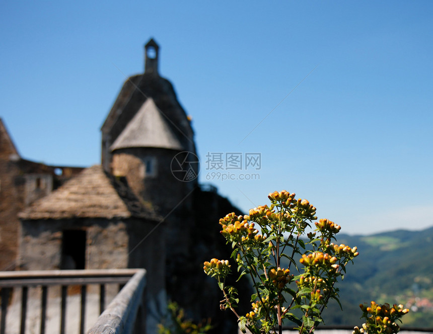 中世纪城堡和野生黄花的屋顶和塔楼图片