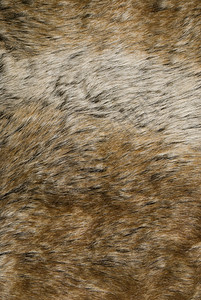 毛皮纹理动物野兔棕色皮肤背景图片