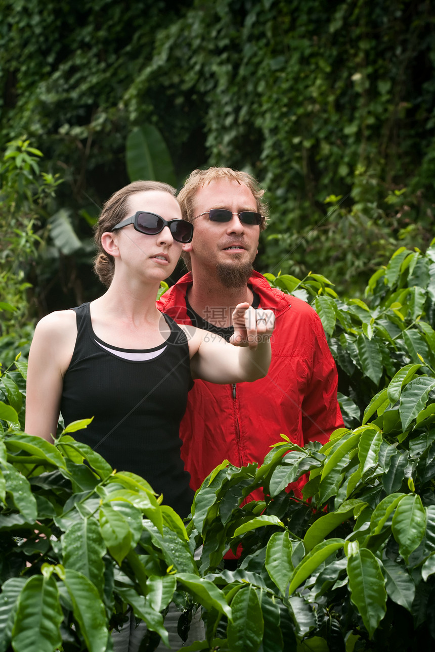 在哥斯达黎加咖啡种植园的美裔和欧洲情侣在哥斯达黎加乡村丛林种植园游客男朋友国家丈夫山羊旅行成人图片