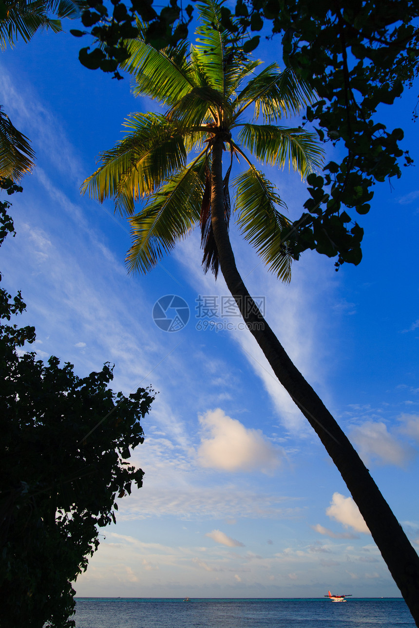 马尔代夫的热带天堂天空旅行棕榈太阳美丽阳光叶子场景蓝色假期图片