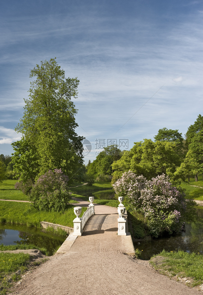 公园的桥胡同花朵风景建筑学晴天植物群阳光树木小路紫丁香图片