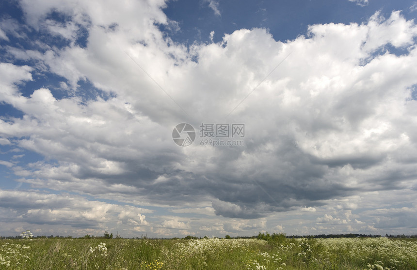 天空和字段地平线地面露天白色积雨花朵植物多云野性晴天图片