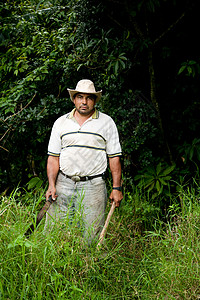 哥斯达黎加牧场的手森林牧场主帽子弯刀男人刀刃国家大男子植物靴子背景